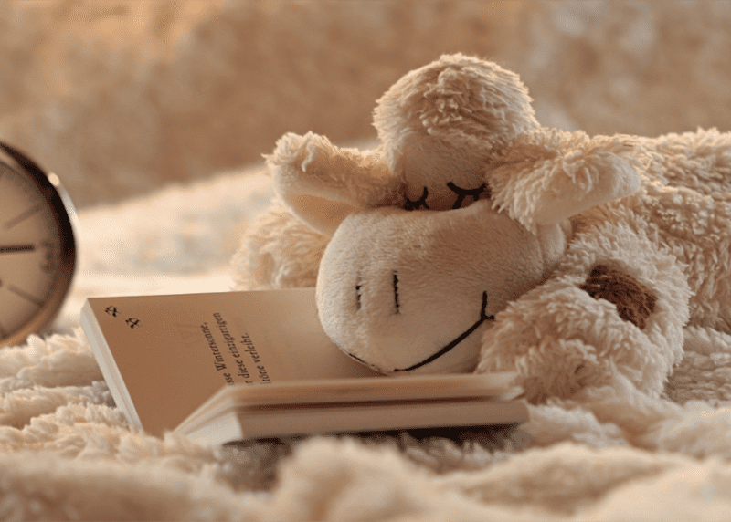 A cozy place with a stuffed animal and a book and a fuzzy blanket