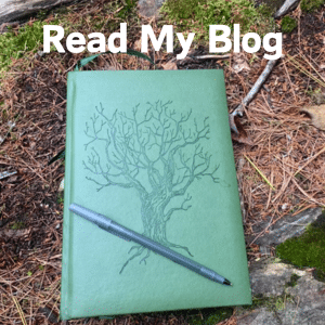 Read My Blog
